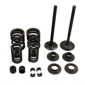 Kit Valvulas | M7322010