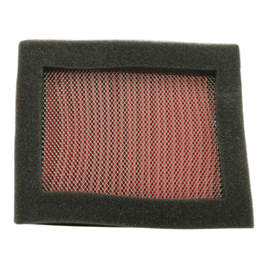 FILTRO DE AIRE-19633