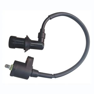 BOBINA DE ALTA ZS 125