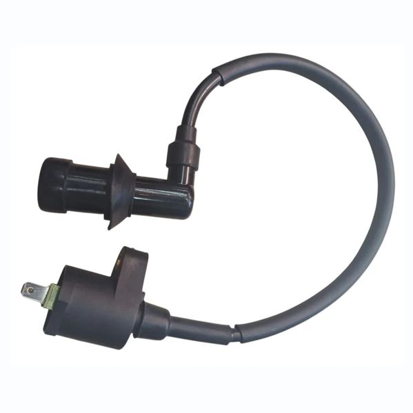 BOBINA DE ALTA ZS 125