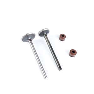 KIT VALVULAS INDIAN SPARE  ECO DELUXE