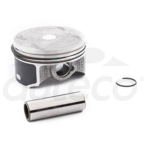 N9020460-TVS-Kit-Piston-Std-Rtr-160-4V.jpg