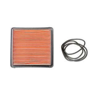 FILTRO ENTRADA AIRE DEL MOTOR-19648